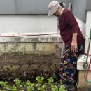 (주)투게임 네이버블로그