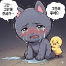 어거스마틴(주) | ‪심장이 쿵(쿵!) You’re makin’ my heart 쿵쿵(쿵!) 더는 못 참겠어 Oh my(Oh my!) 원래 다 이런가요?‬