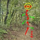 홍계희 묘 이미지