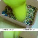 즐거운 사진 생활 이미지