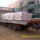 성일체육관 이미지