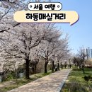 하동매실거리 서울 매화 명소 청계천 도깨비 촬영지