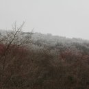 르 메종 제주 이미지