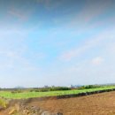 김앤김공인중개사사무소 이미지