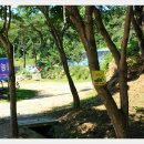 팔공산올레길 8코스 이미지