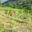 상월 농장 이미지