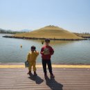 순천만여행 | 🌿 순천만 여행 후기｜하루가 모자란 자연 생태 여행지