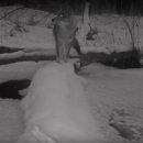 순플레이스 이미지