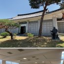 평화운보 시티라이프
