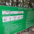 공영주차장옆길 이미지