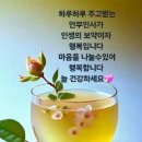 7월8일 월요일 오늘의 책속의 한마디 이미지