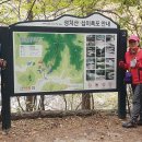 오산회 228회 금산 성치산12폭포, 보석사 은행나무(2023.10.22, 일) 이미지