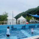 파주 캠핑장] 야호캠핑장 아이와 방문후기 수영장 명당자리부터 시설 장단점까지!