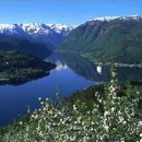 (주)티제이팜 이미지