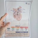 잘하는 동물메디컬센터 | 울산 잘하는 동물메디컬센터 후기🏥
