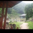 덕일체육관 이미지