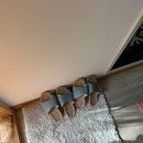 레오하우스 | [ 레오꼬띠 ] 태안 만리포 바다가 보이는 애견동반 펜션 솔직후기