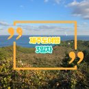 제주성산해마루&쌈총사횟집 | 차 (쇠소깍/공새미59/자파리감귤체험장/더베스트제주성산/성산일출봉/졸띠해변승마/쌈총사횟집/스피닝울프)