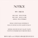 벨로즈 | W3. 💍 부산 아이폰 스냅 추천- ‘벨로즈 스냅’ 계약 후기(짝꿍 할인 코드 공유)