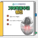 경주마취통증의학과의원 이미지