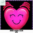 대성애견 이미지