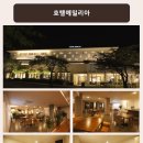 팔공에밀리아호텔(Palgong Emillia Hotel) 네이버블로그