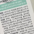 끌레르 | 오돌토돌 피부, 닥터끌레르 요철 피부 솔루션 리얼 후기