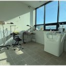 모여라 애견미용 이미지