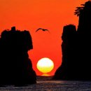 공곶이 언덕 이미지