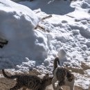 CU 서천점 이미지