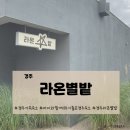 별밭에서 | 경주 라온별밭 풀빌라, 아이와 함께한 경주 가족여행 숙소 추천