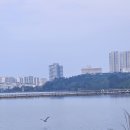 신세계 리조트 이미지