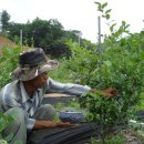 이헌농장 이미지