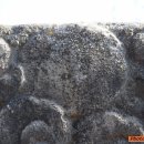 이세영묘역 이미지