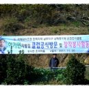 연지상사 Daum카페