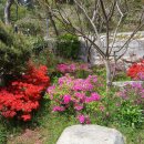 충성축산