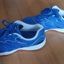 프로스펙스 탁구화, 배드민턴화 판매합니다 이미지