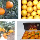 샛별농장 이미지