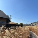 와타스테이 이미지