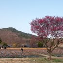 인흥마을 이미지