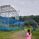 꿈들농원