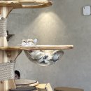 냥이놀이터 이미지