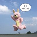독학재수울산유토마학원 | 부산독학기숙학원 찾다가 선택한 종로에이치기숙학원 재수 후기 (+2027 재수조기선발반)
