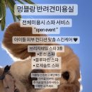 멍블랑 반려견미용실 이미지