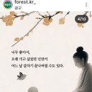 시절 인연 이미지