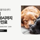 뉴본동물의료센터 이미지