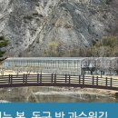 해망정 국궁장 이미지