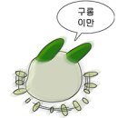 에스루트