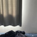 에이플러스 동물병원 | &lt;연희동 동물병원&gt; 에이플러스동물병원 스케일링 후기