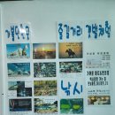 아이니커피호프 | 태안펜션 , 아이니펜션 근처 태안 갯벌체험 다녀왔어요